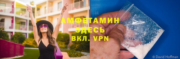 прущие грибы Бронницы