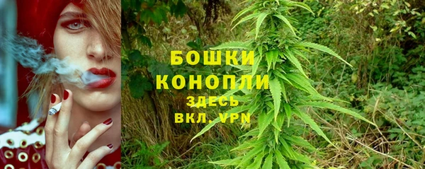 соль курить ск Бородино