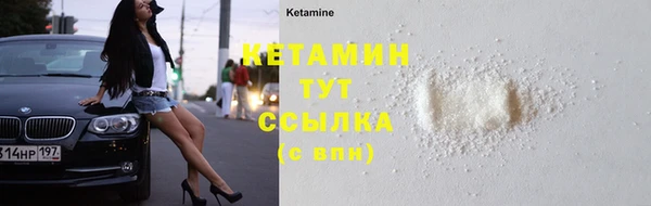прущие грибы Бронницы