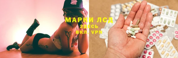 прущие грибы Бронницы
