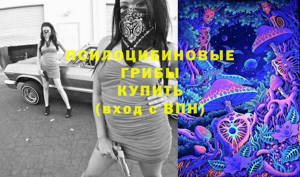 прущие грибы Бронницы