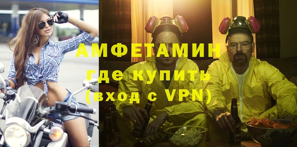 прущие грибы Бронницы
