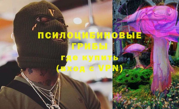 соль курить ск Бородино
