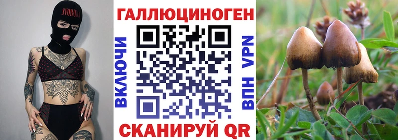 Купить  Белоусово  Галлюциногенные грибы мухоморы 